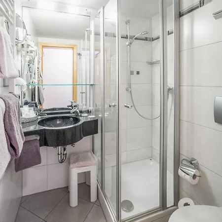 호텔 파사우어 볼프