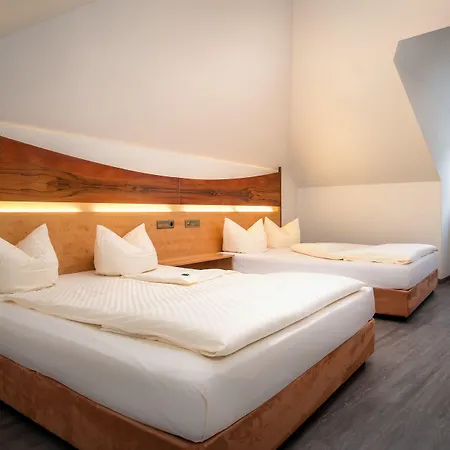 파사우어 볼프 호텔 파사우