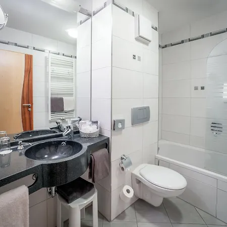 파사우어 볼프 호텔