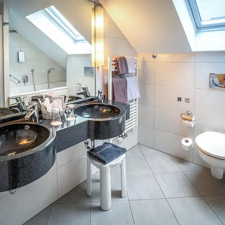 파사우어 볼프 호텔