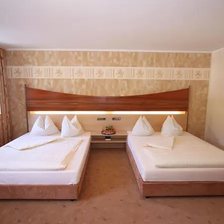 파사우어 볼프 4* 파사우