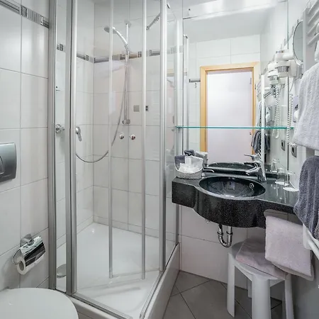 파사우어 볼프 호텔