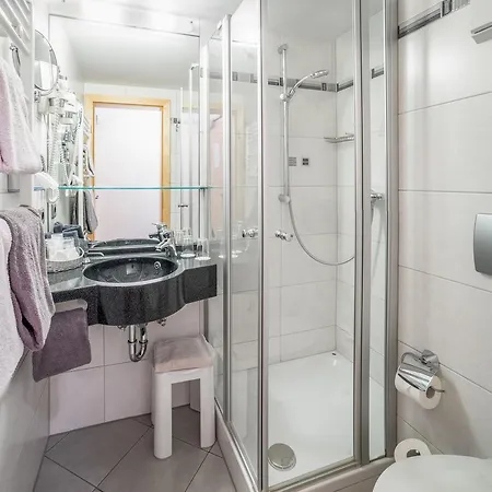 호텔 파사우어 볼프 4*