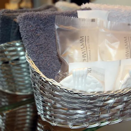 호텔 파사우어 볼프 4*