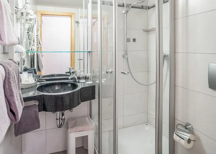 Passauer Wolf Otel Passau