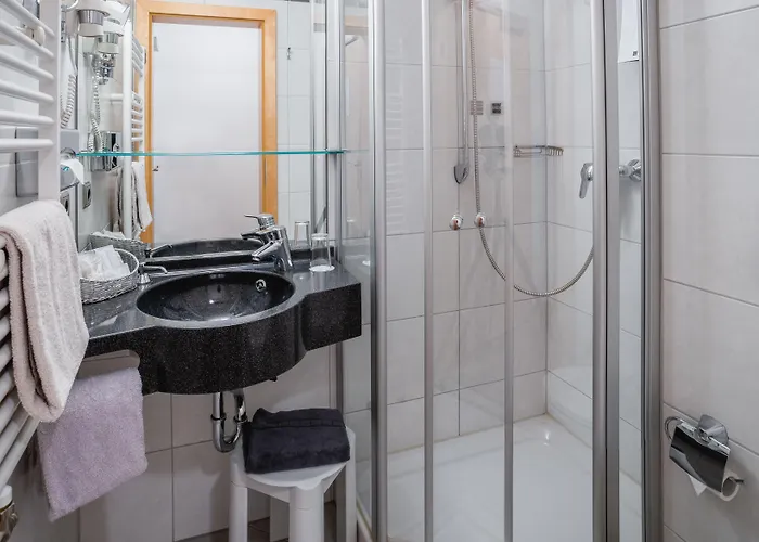 Passauer Wolf Otel 4*