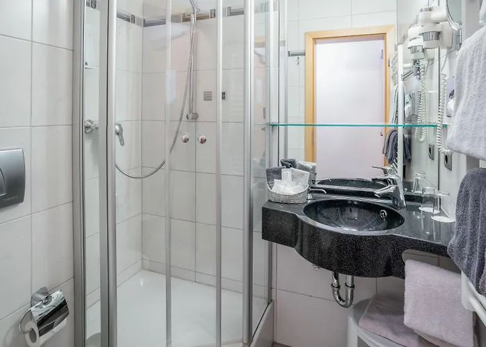 Passauer Wolf Passau