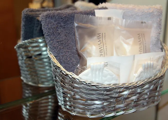 Otel Passauer Wolf 4*